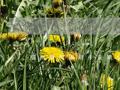 服刑期间信用卡逾期会怎样 服刑期间信用卡逾期会怎样