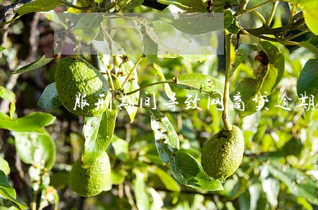 服刑期间导致网商贷逾期 服刑期间导致网商贷逾期