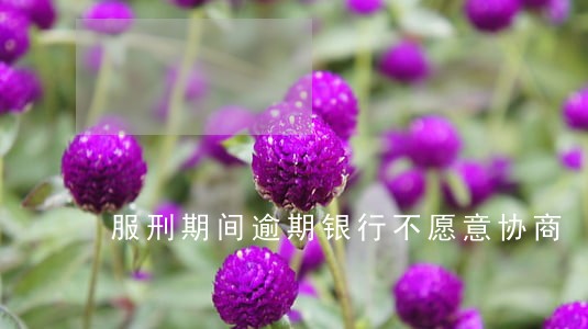 服刑期间逾期银行不愿意协商 服刑期间逾期银行不愿意协商