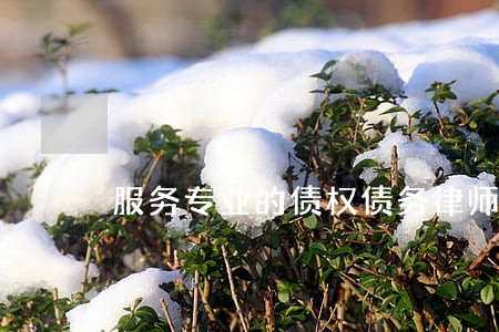 服务专业的债权债务律师免费咨询 服务专业的债权债务律师免费咨询