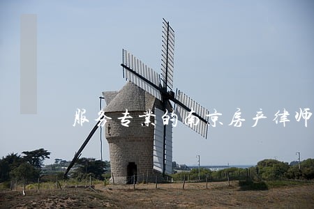 服务专业的南京房产律师 服务专业的南京房产律师
