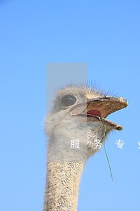 服务专业的股权律师热线电话