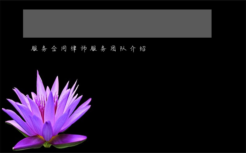 服务合同律师服务团队介绍 服务合同律师服务团队介绍