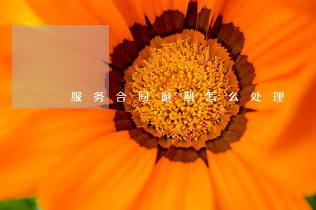 服务合同逾期怎么处理 服务合同逾期怎么处理