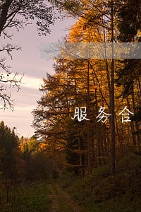 服务合同逾期费