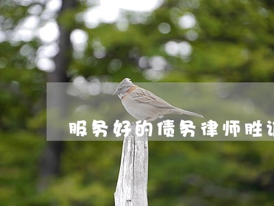 服务好的债务律师胜诉率高