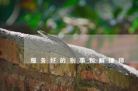 服务好的刑事和解律师 服务好的刑事和解律师
