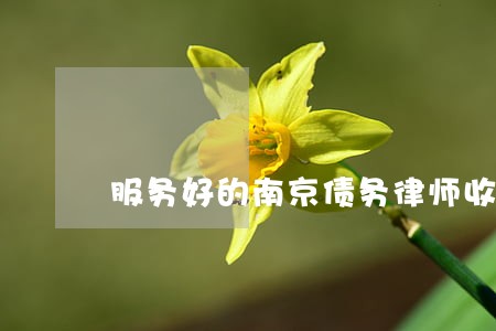 服务好的南京债务律师收费多少 服务好的南京债务律师收费多少
