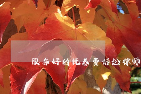 服务好的抚养费诉讼律师 服务好的抚养费诉讼律师