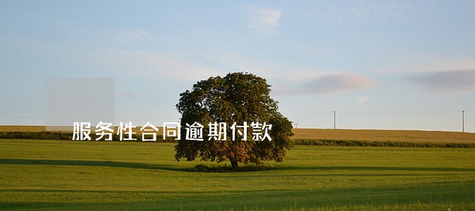 服务性合同逾期付款 服务性合同逾期付款