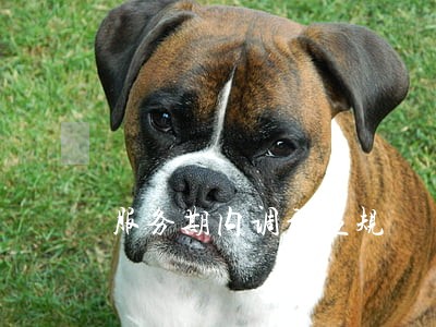 服务期内调动违规 服务期内调动违规