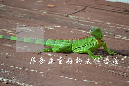 服务质量好的法律咨询