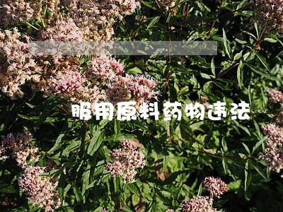 服用原料药物违法 服用原料药物违法