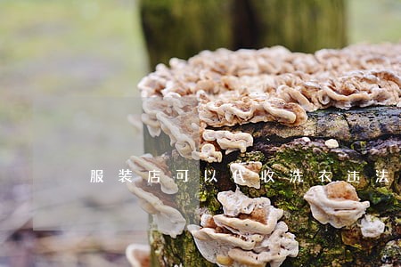 服装店可以代收洗衣违法吗 服装店可以代收洗衣违法吗