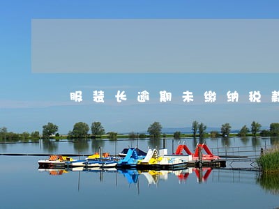 服装长逾期未缴纳税款 服装长逾期未缴纳税款