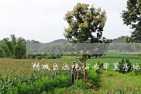 朔城区法院公告华昱房地产 朔城区法院公告华昱房地产