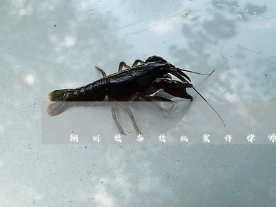 朔州债务债权案件律师顾问 朔州债务债权案件律师顾问