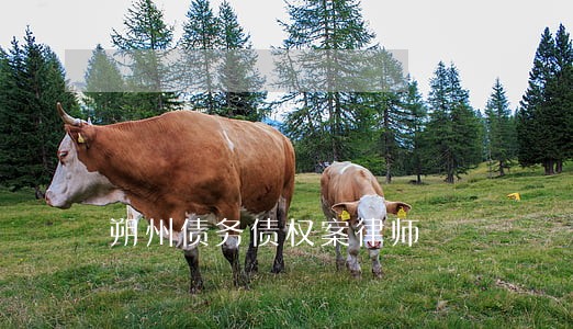 朔州债务债权案律师 朔州债务债权案律师