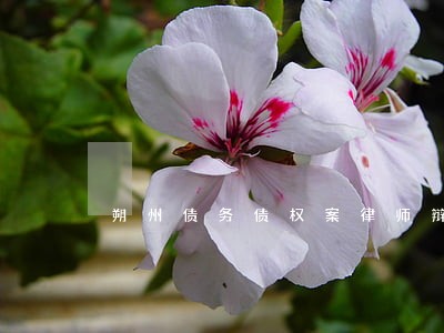 朔州债务债权案律师辩解 朔州债务债权案律师辩解