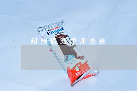 朔州债务律师协会 朔州债务律师协会