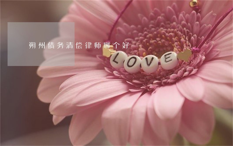 朔州债务清偿律师哪个好