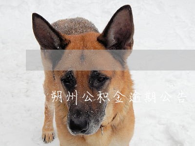 朔州公积金逾期公告