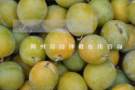 朔州劳动仲裁在线咨询 朔州劳动仲裁在线咨询