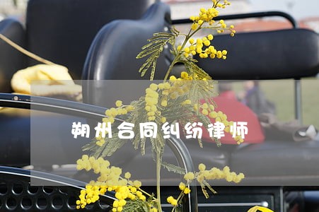 朔州合同纠纷律师