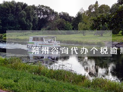 朔州咨询代办个税逾期申报哪家好 朔州咨询代办个税逾期申报哪家好