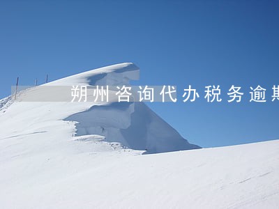朔州咨询代办税务逾期申报哪家好