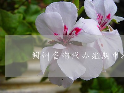 朔州咨询代办逾期申报公司哪家好 朔州咨询代办逾期申报公司哪家好