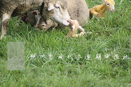 朔州咨询代办逾期申报机构哪家好 朔州咨询代办逾期申报机构哪家好