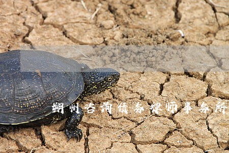 朔州咨询债务律师事务所 朔州咨询债务律师事务所