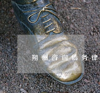 朔州咨询债务律师咨询费多少 朔州咨询债务律师咨询费多少