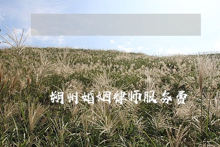朔州婚姻律师服务费 朔州婚姻律师服务费