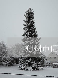 朔州市信用卡逾期 朔州市信用卡逾期