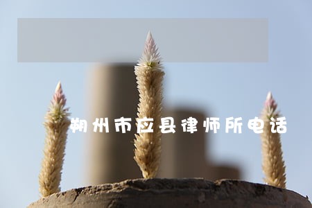 朔州市应县律师所电话 朔州市应县律师所电话