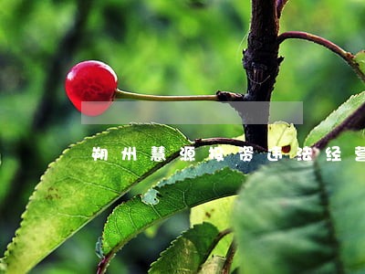 朔州慧源投资违法经营 朔州慧源投资违法经营