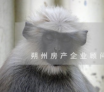 朔州房产企业顾问律师 朔州房产企业顾问律师