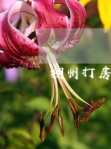 朔州打房产官司律师收费 朔州打房产官司律师收费
