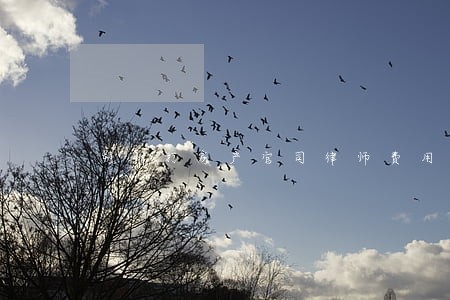 朔州打房产官司律师费用 朔州打房产官司律师费用