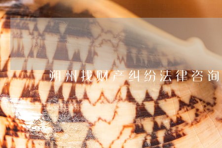 朔州找财产纠纷法律咨询 朔州找财产纠纷法律咨询