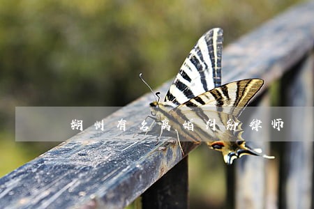 朔州有名离婚纠纷律师 朔州有名离婚纠纷律师
