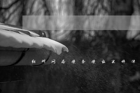 朔州网络债务债权案件律师前景 朔州网络债务债权案件律师前景