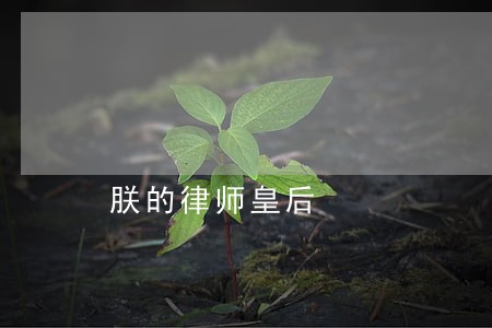朕的律师皇后 朕的律师皇后