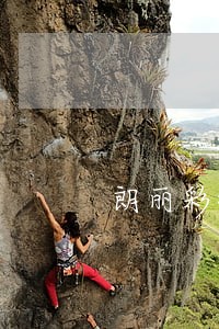 朗丽彩律师 朗丽彩律师