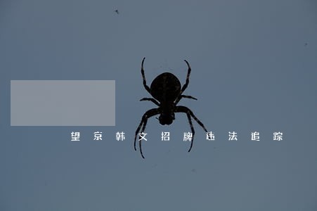 望京韩文招牌违法追踪 望京韩文招牌违法追踪