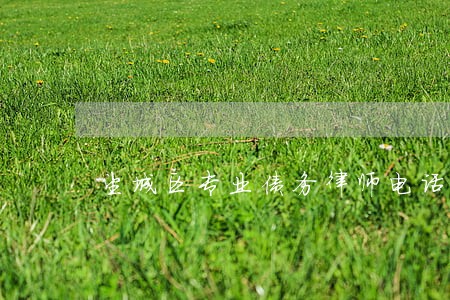 望城区专业债务律师电话 望城区专业债务律师电话