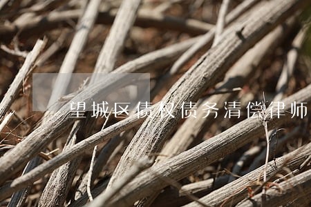 望城区债权债务清偿律师 望城区债权债务清偿律师