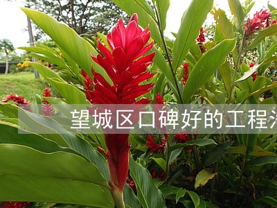望城区口碑好的工程法律律师 望城区口碑好的工程法律律师